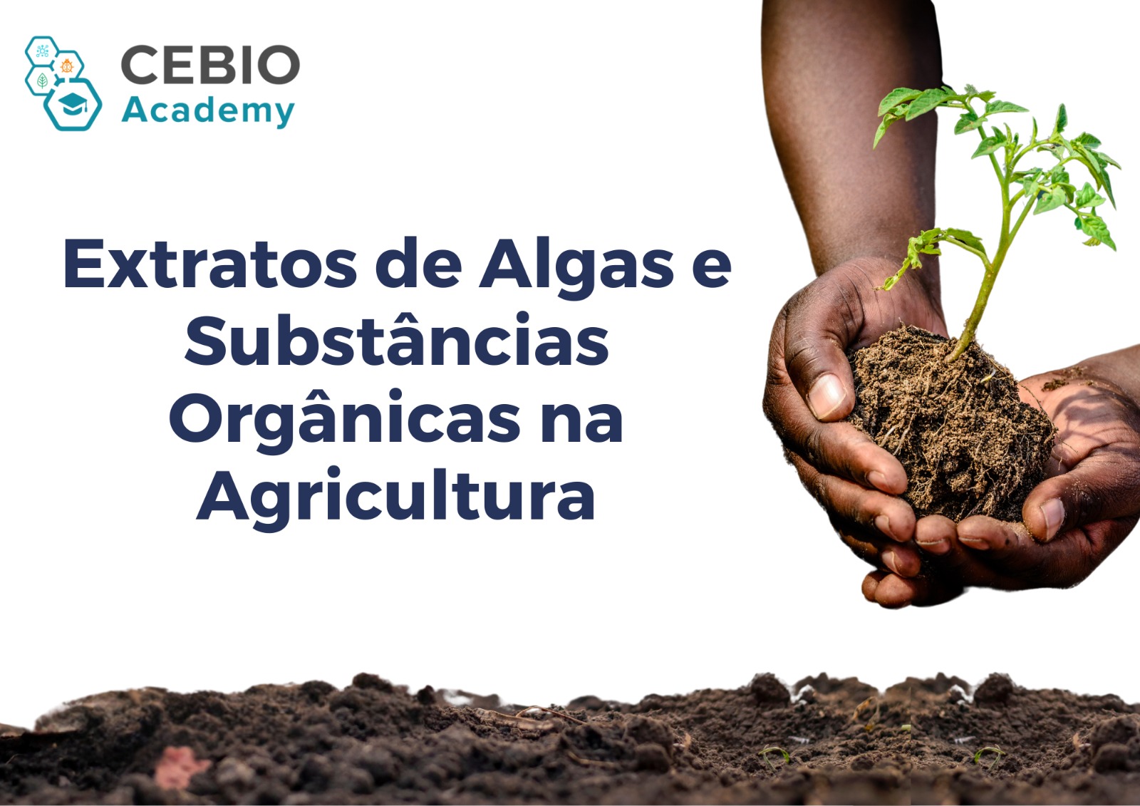 022912 - Extratos de algas e substâncias orgânicas na  agricultura - 2025/1:Pós-Graduação Lato Sensu em Bioinsumos, Especialização, 3º Período, Turno EAD (2025)
