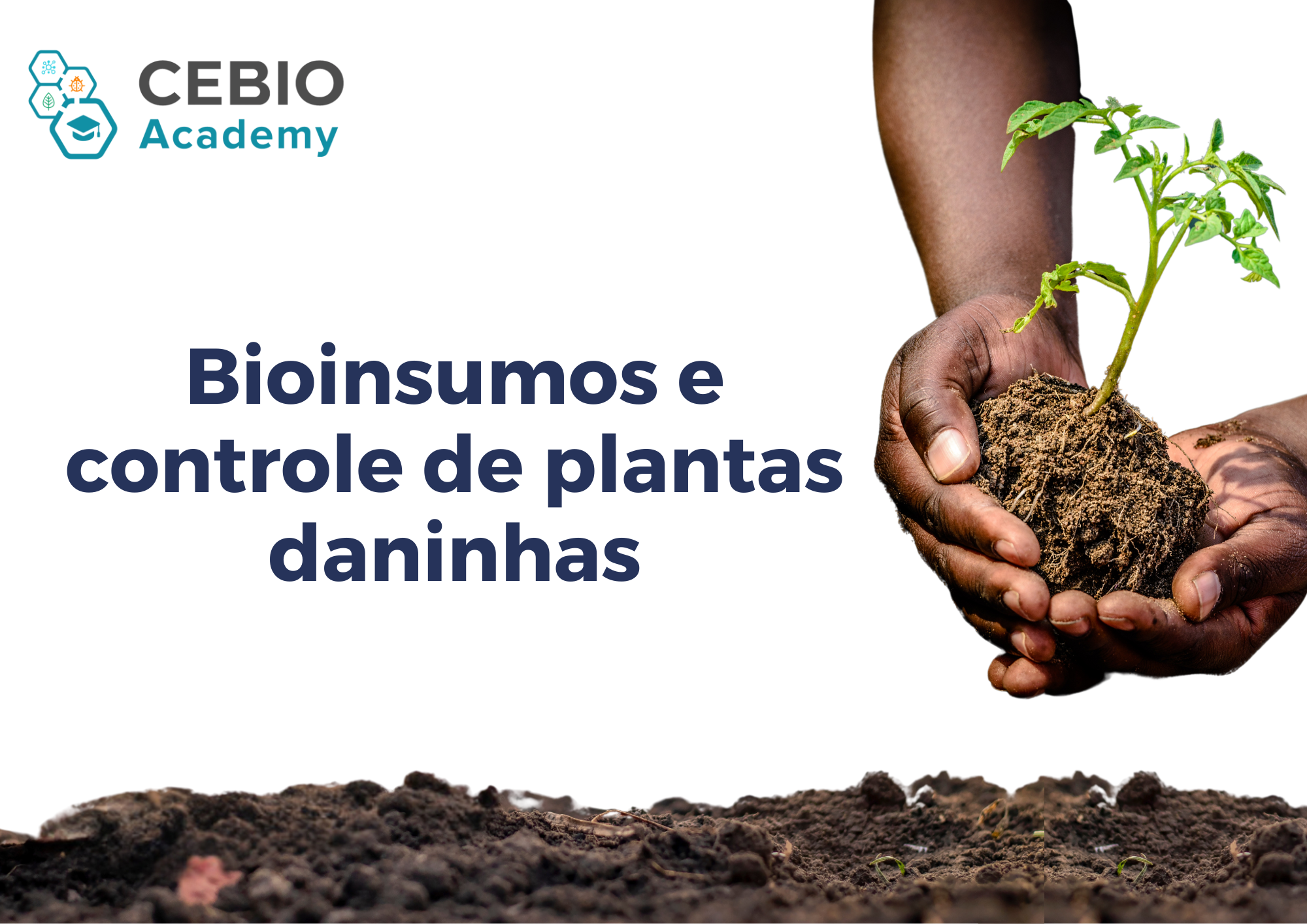 022928 - Bioensumos e controle de plantas daninhas - 2025/1:Pós-Graduação Lato Sensu em Bioinsumos, Especialização, 1º Período, Turno EAD (2025)