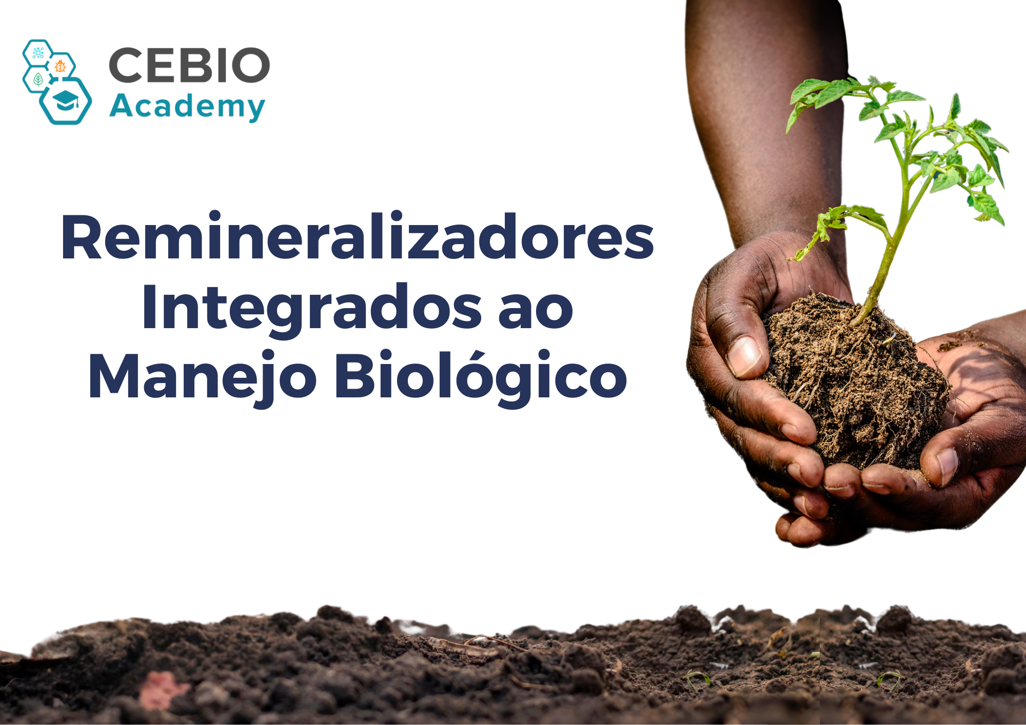 Validação - Remineralizadores Integrados ao Manejo Biológico