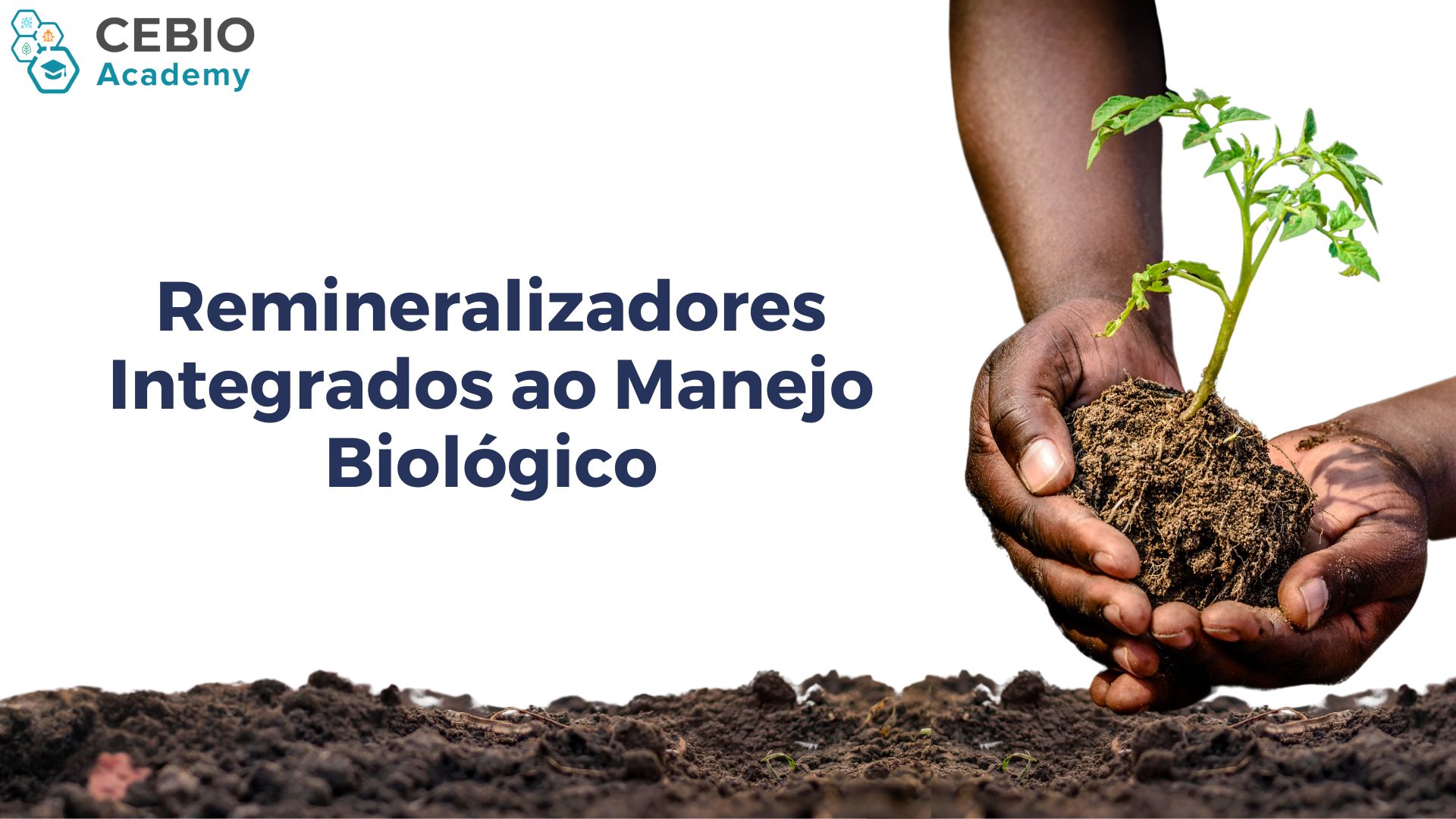 022210 - Remineralizadores integrados ao manejo biológico - 2025/1:Pós-Graduação Lato Sensu em Bioinsumos, Especialização, 3º Período, Turno Diurno (2025)