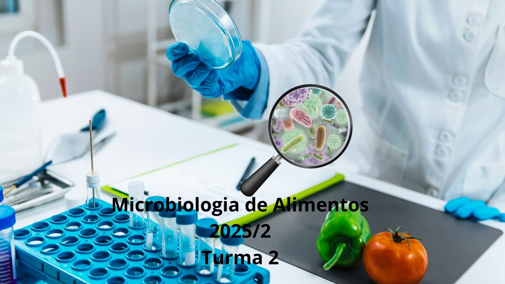 023415 - [MO.ALEAD2] Microbiologia de Alimentos - 2025/2:Técnico em Alimentos, Técnico Concomitante, 2º Período, Turno EAD (2025)