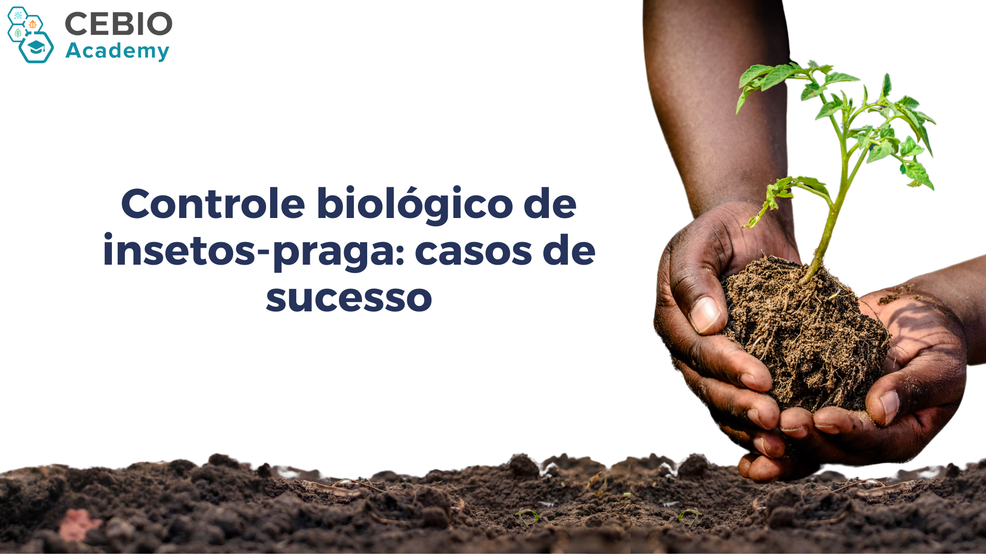 026147 - Controle biológico de insetos-praga: casos de sucesso - 2025/2:Pós-Graduação Lato Sensu em Bioinsumos, Especialização, 2º Período, Matriz 393, Turno EAD (2025)