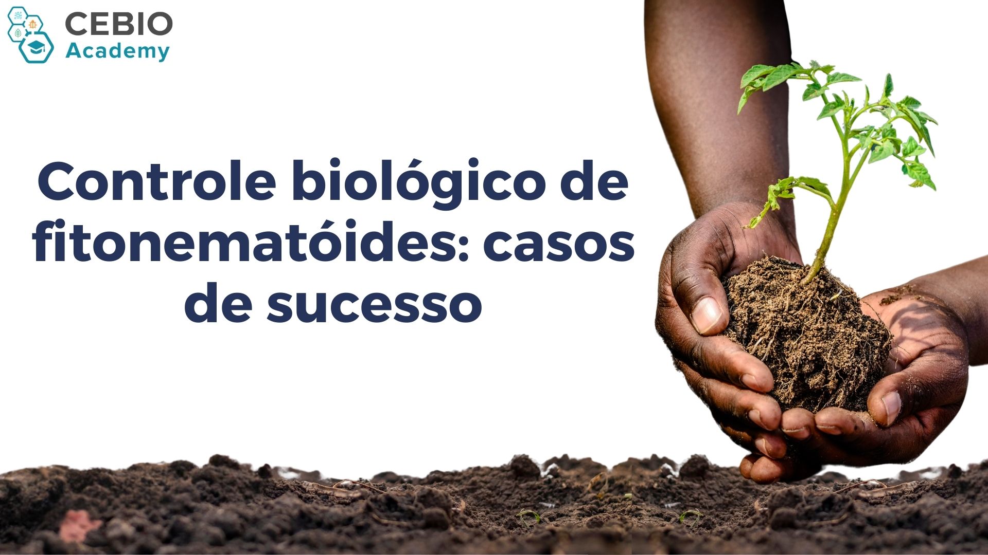 026156 - Controle biológico de fitonematóides: casos de sucesso - 2025/2:Pós-Graduação Lato Sensu em Bioinsumos, Especialização, 2º Período, Matriz 393, Turno EAD (2025)