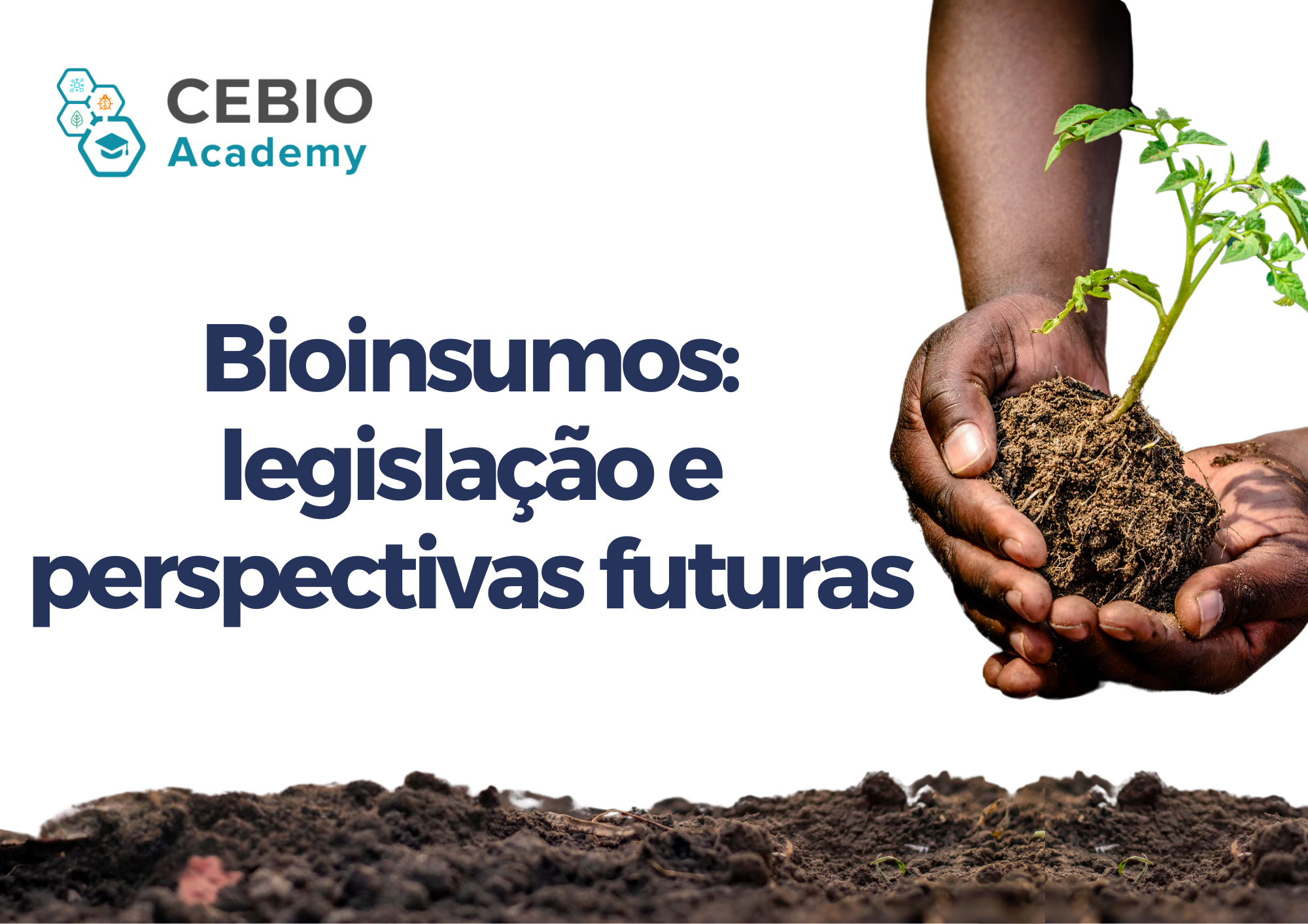 026125 - Bioinsumos: legislação e perspectivas futuras - 2025/2:Pós-Graduação Lato Sensu em Bioinsumos, Especialização, 3º Período, Matriz 393, Turno EAD (2025)