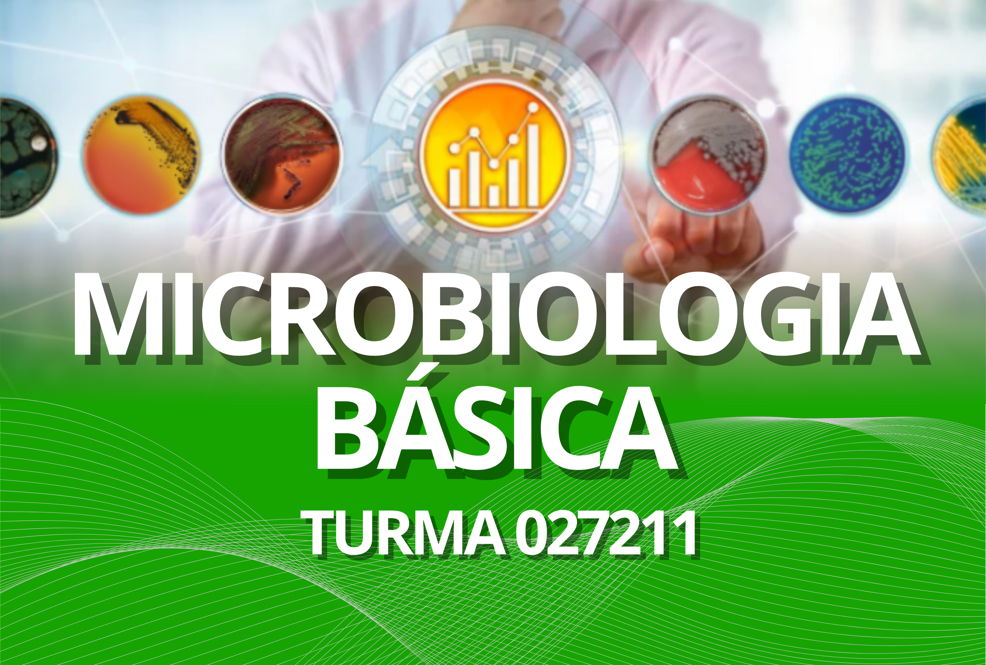 027211 - [MO.ALEAD1] Microbiologia Básica - 2026/1:Técnico em Alimentos, Técnico Concomitante, 1º Período, Matriz 486, Turno EAD (2026)