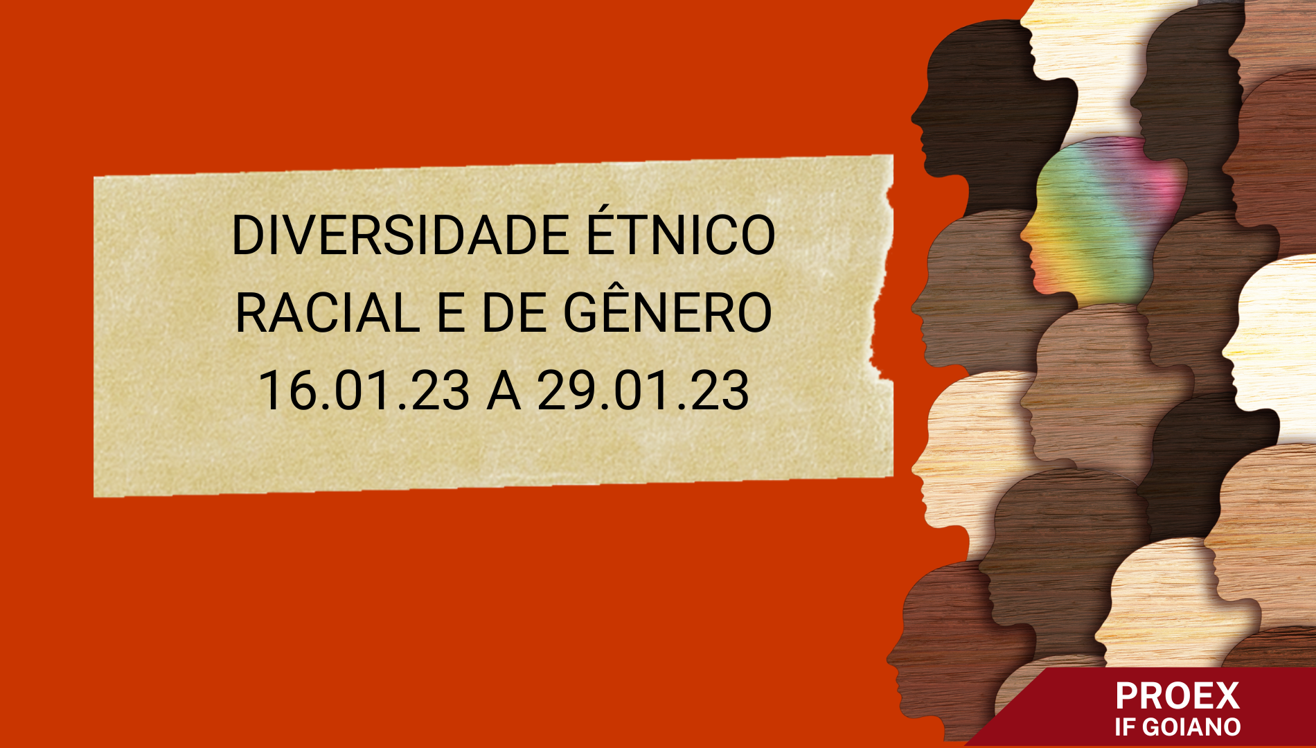 Diversidade Étnico Racial e de Gênero