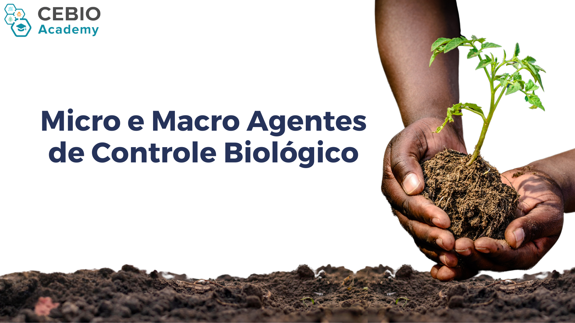 Validação - Micro e macro agentes de controle biológico