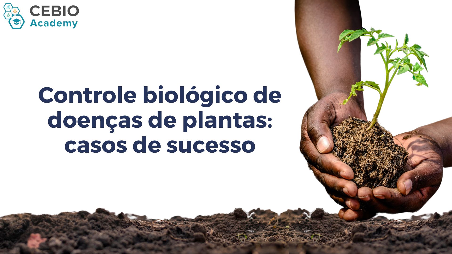 Validação  - Controle biológico de doenças de plantas: casos de sucesso