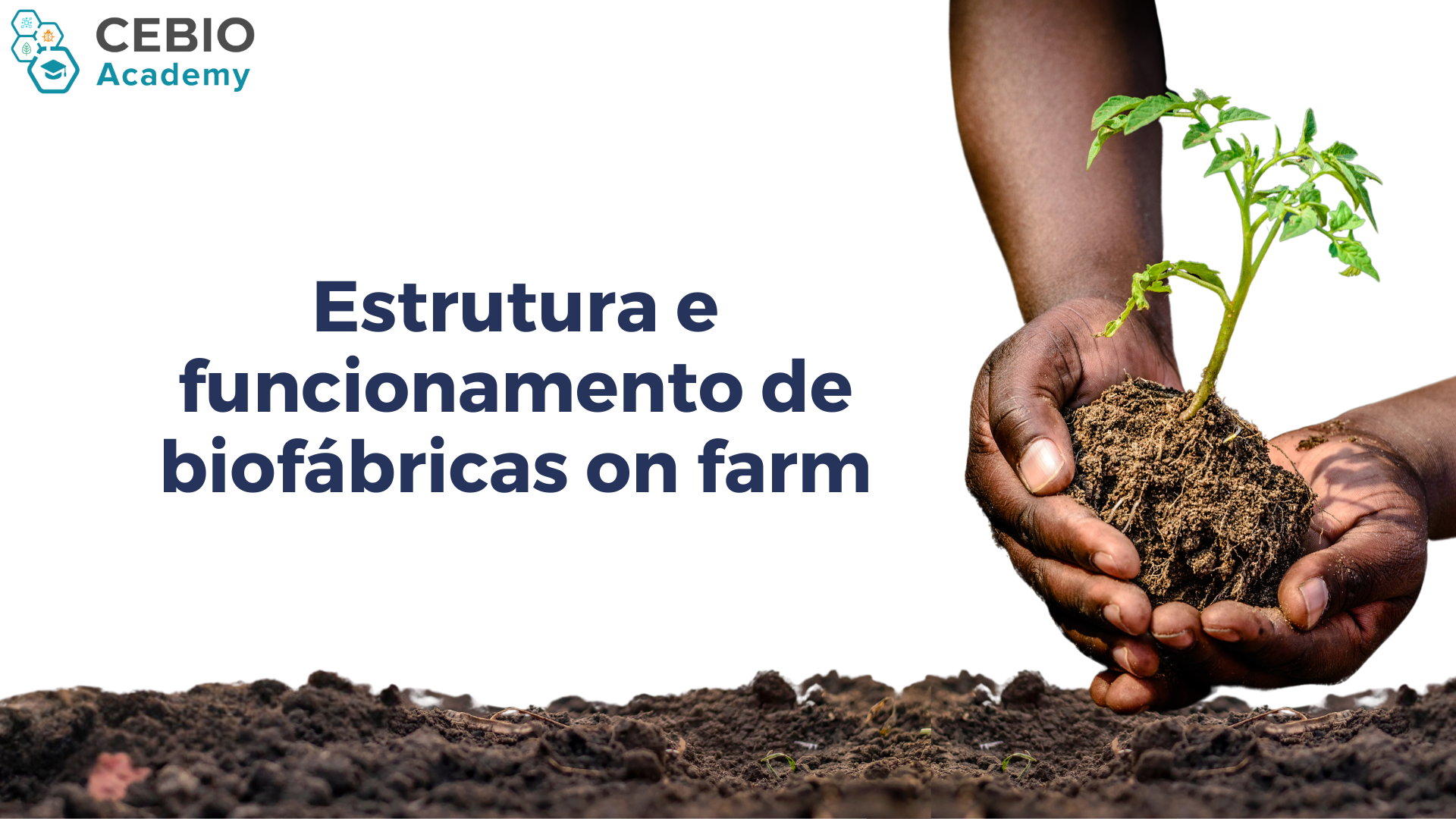 Validação - Estrutura e funcionamento de biofábricas on farm