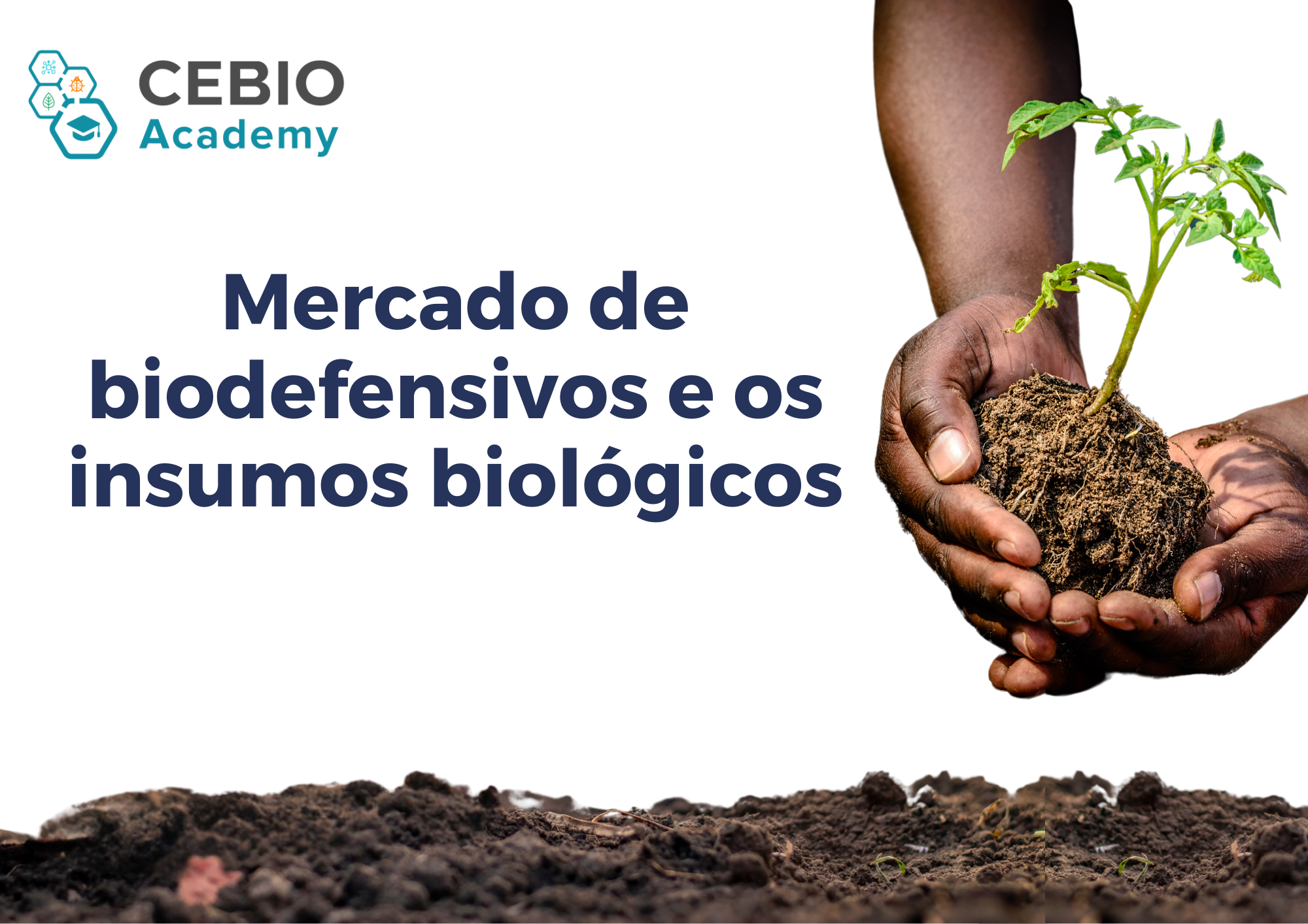 Validação - Mercado de biodefensivos e os insumos biológicos