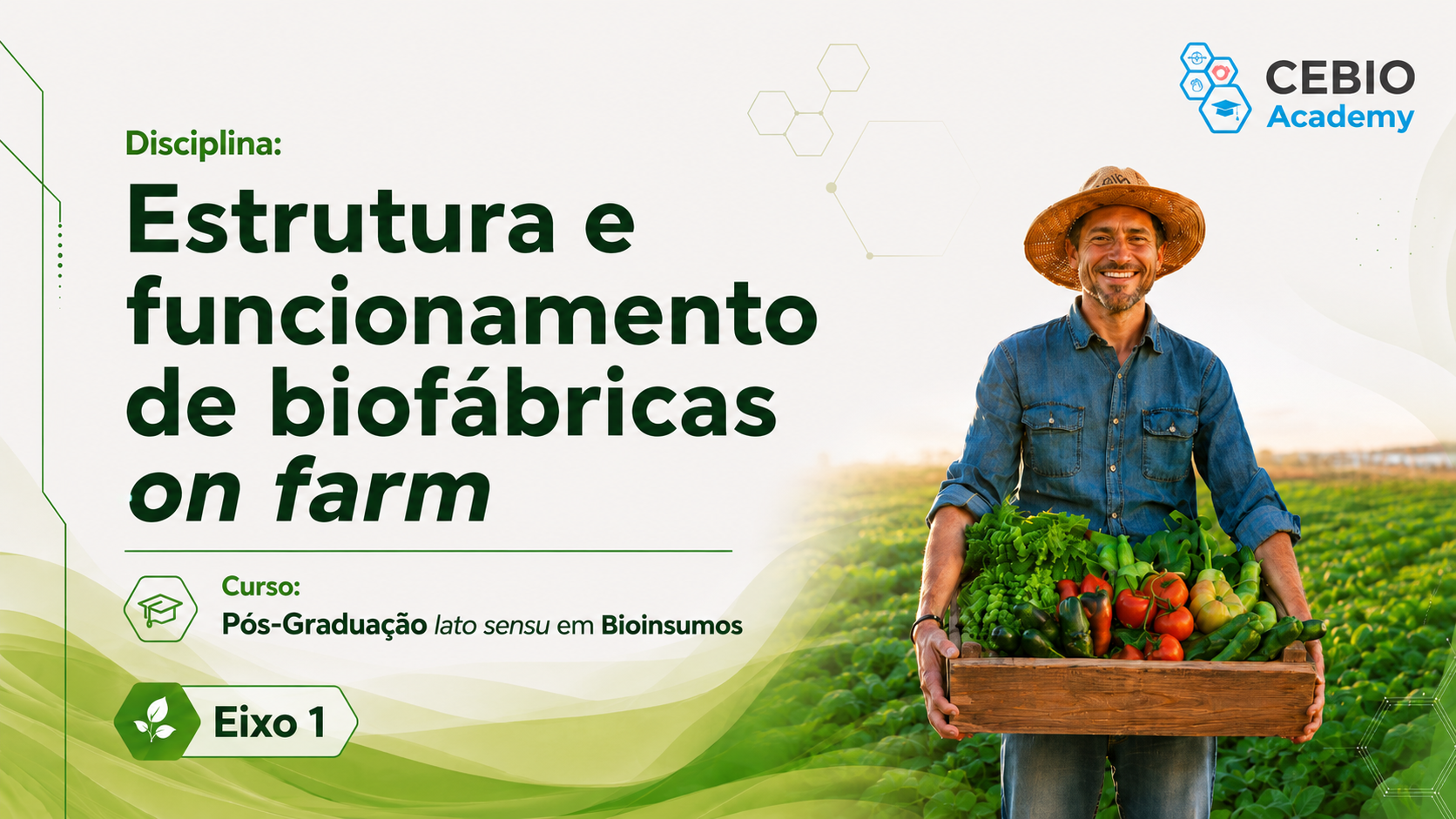 Estrutura e funcionamento de biofábricas on farm