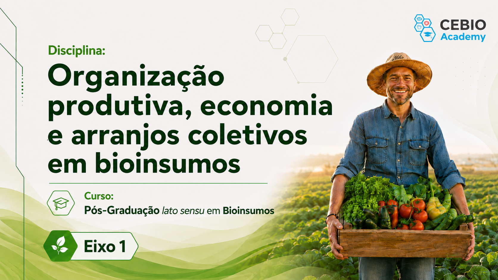 Organização produtiva, economia e arranjos coletivos em bioinsumos