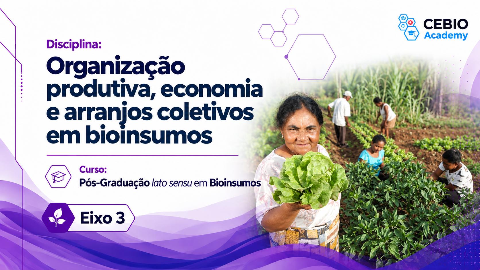 Organização produtiva, economia e arranjos coletivos em bioinsumos