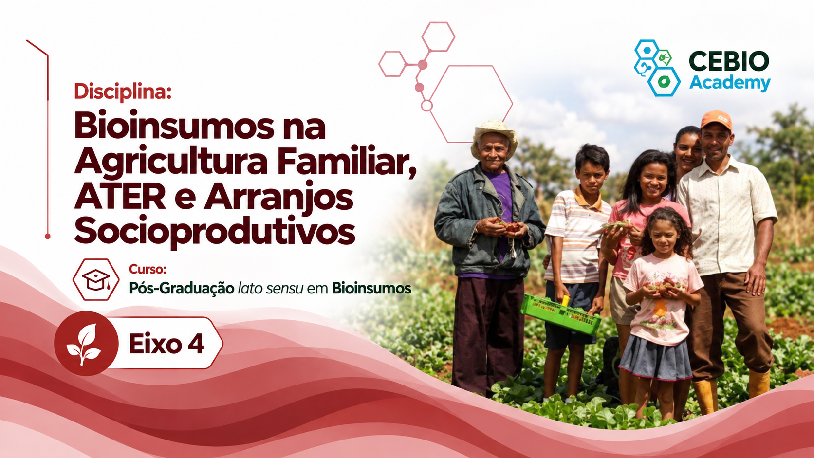 Bioinsumos na Agricultura Familiar, ATER e Arranjos Socioprodutivos
