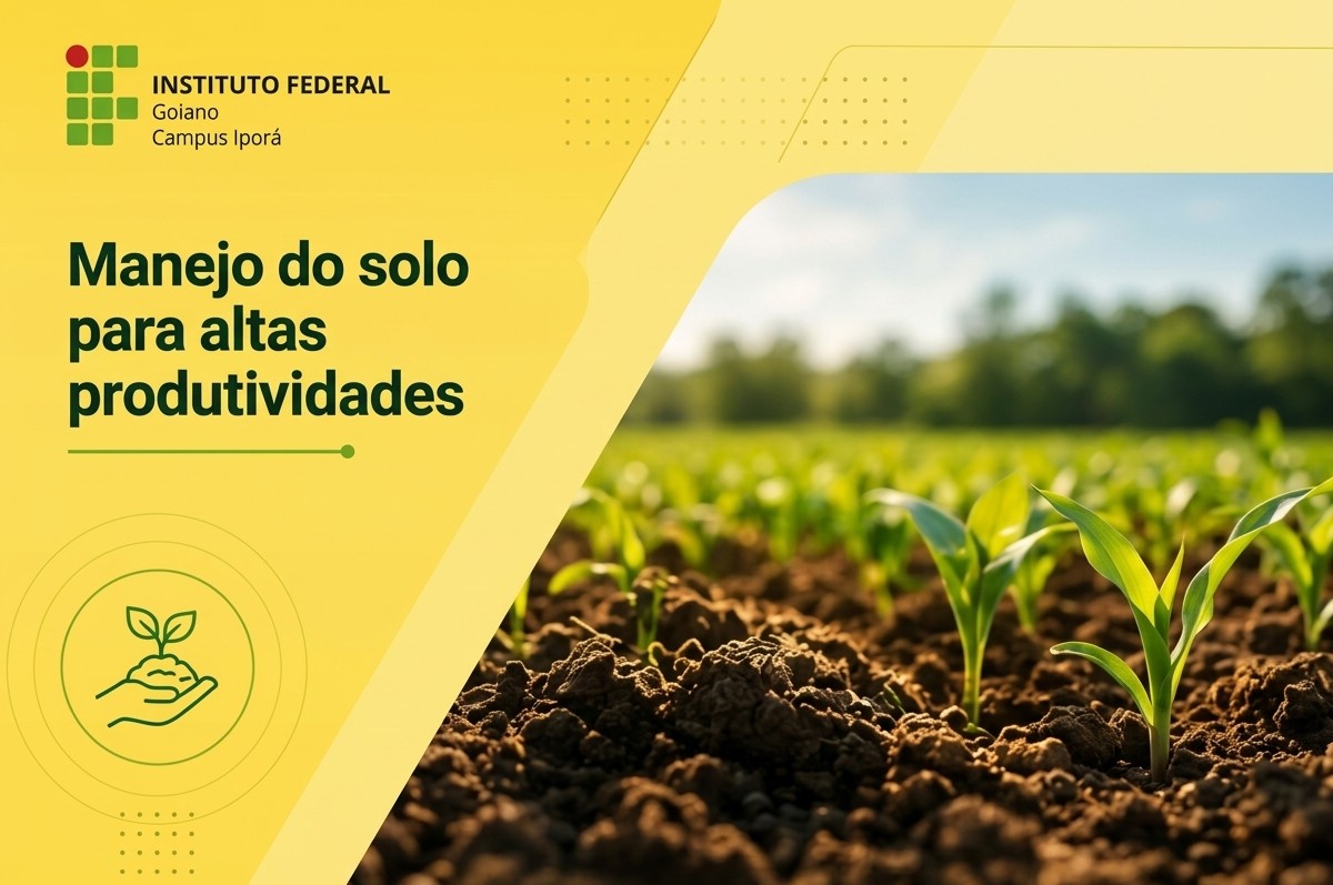 Manejo do solo para altas produtividades