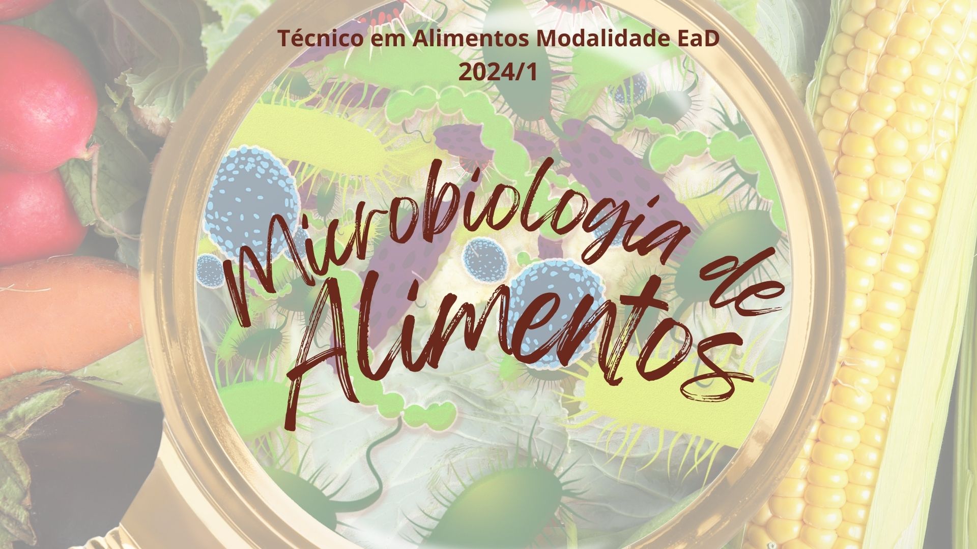 012713 - [MO.ALEAD2] Microbiologia de Alimentos - 2024/1:Técnico em Alimentos, Técnico Concomitante, 2º Período, Turno EAD (2024)